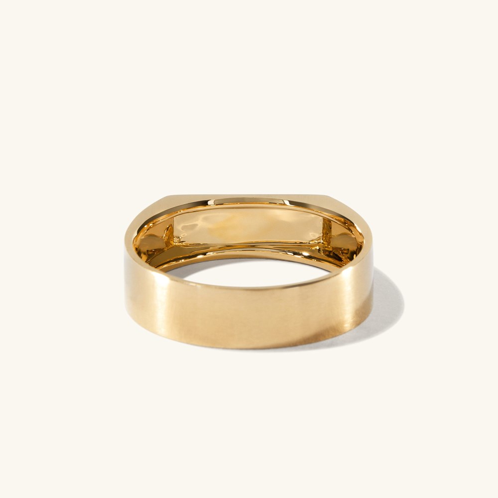 Mejuri Slim Rectangular Signet Ring - Brushed Gold Canada Store