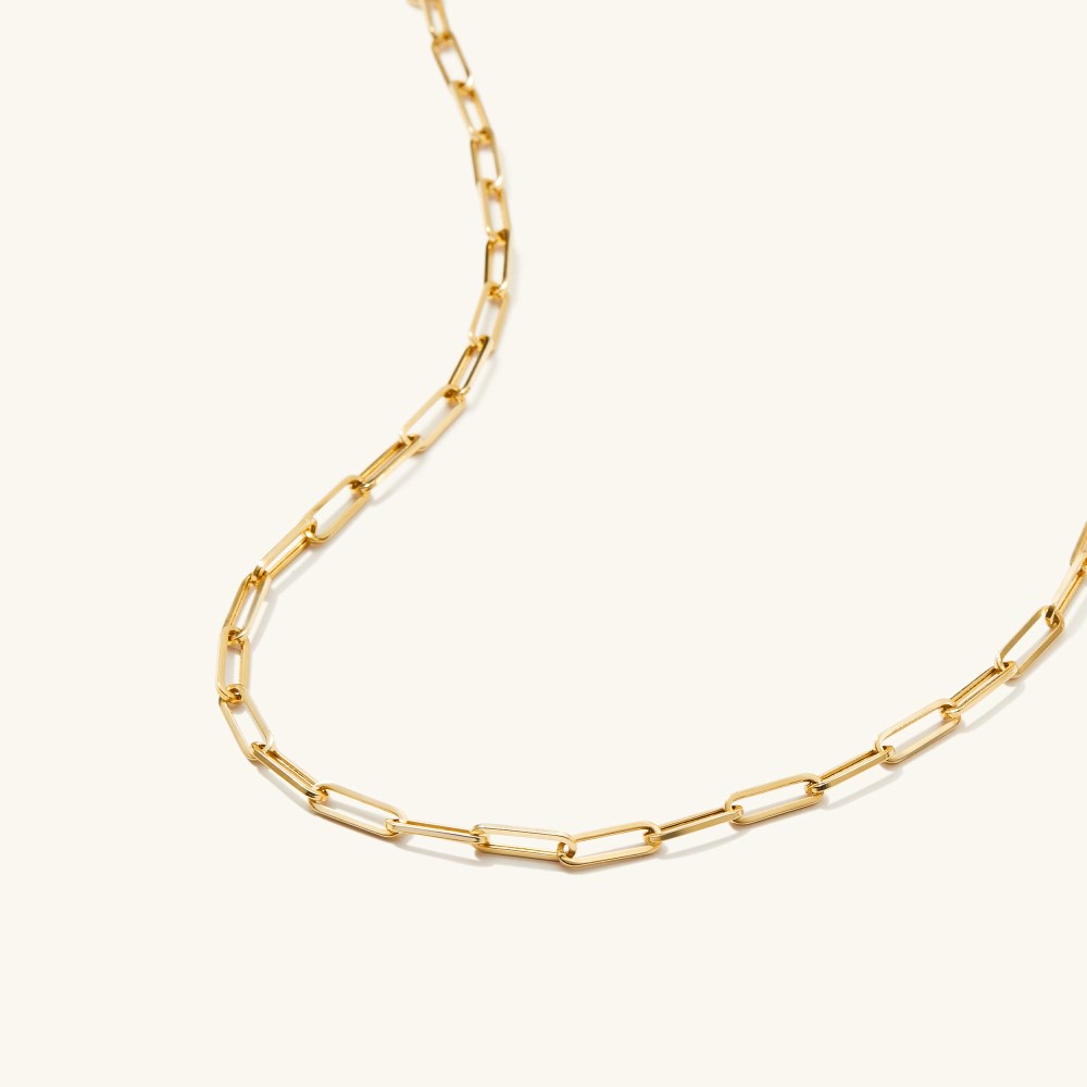 Mejuri Paperclip Chain Charm Necklace - 14k Yellow Gold Canada Store