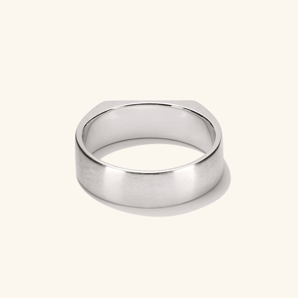 Mejuri Slim Rectangular Signet Ring - Titanium Canada Store
