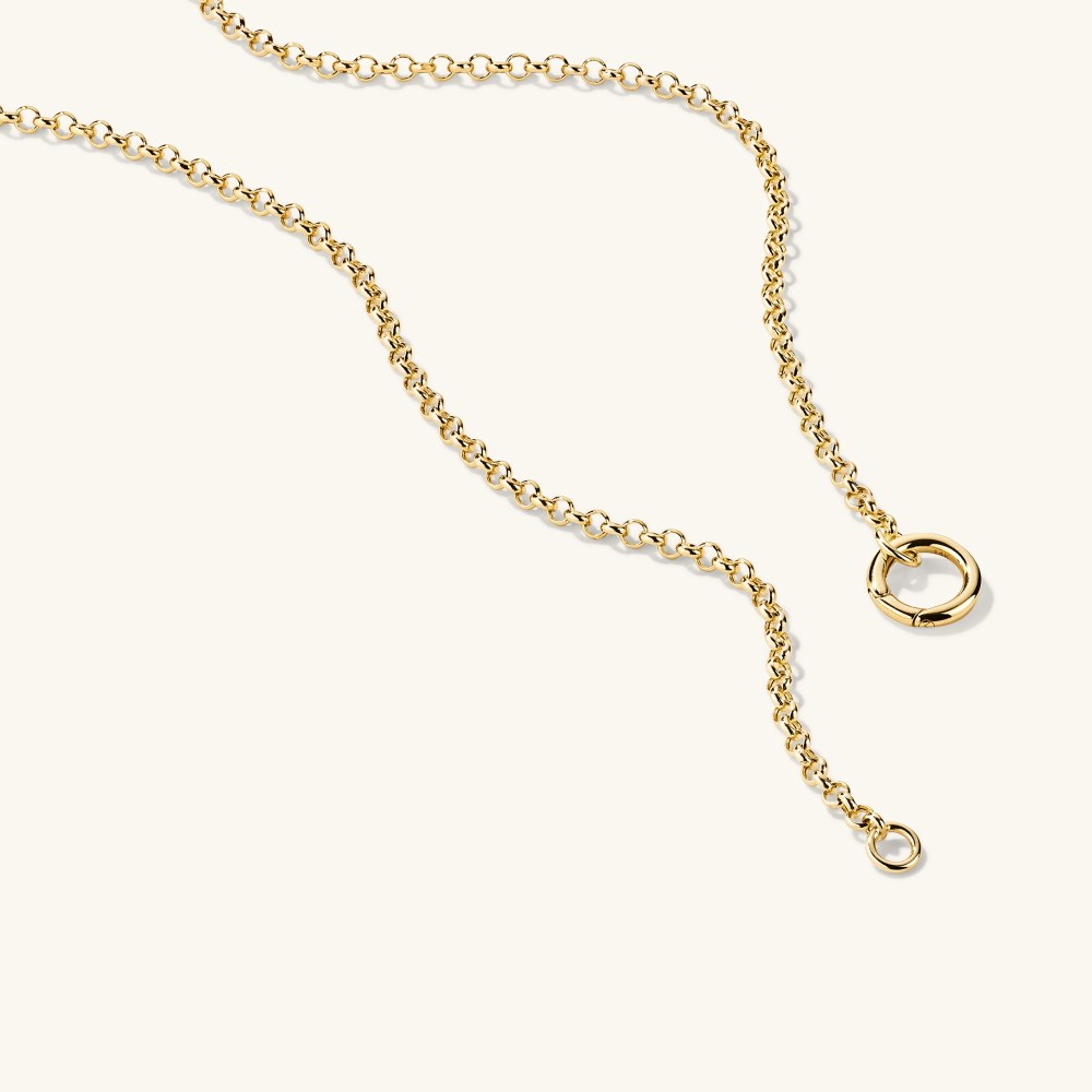 Mejuri Rolo Chain Charm Necklace - 14k Yellow Gold Canada Store